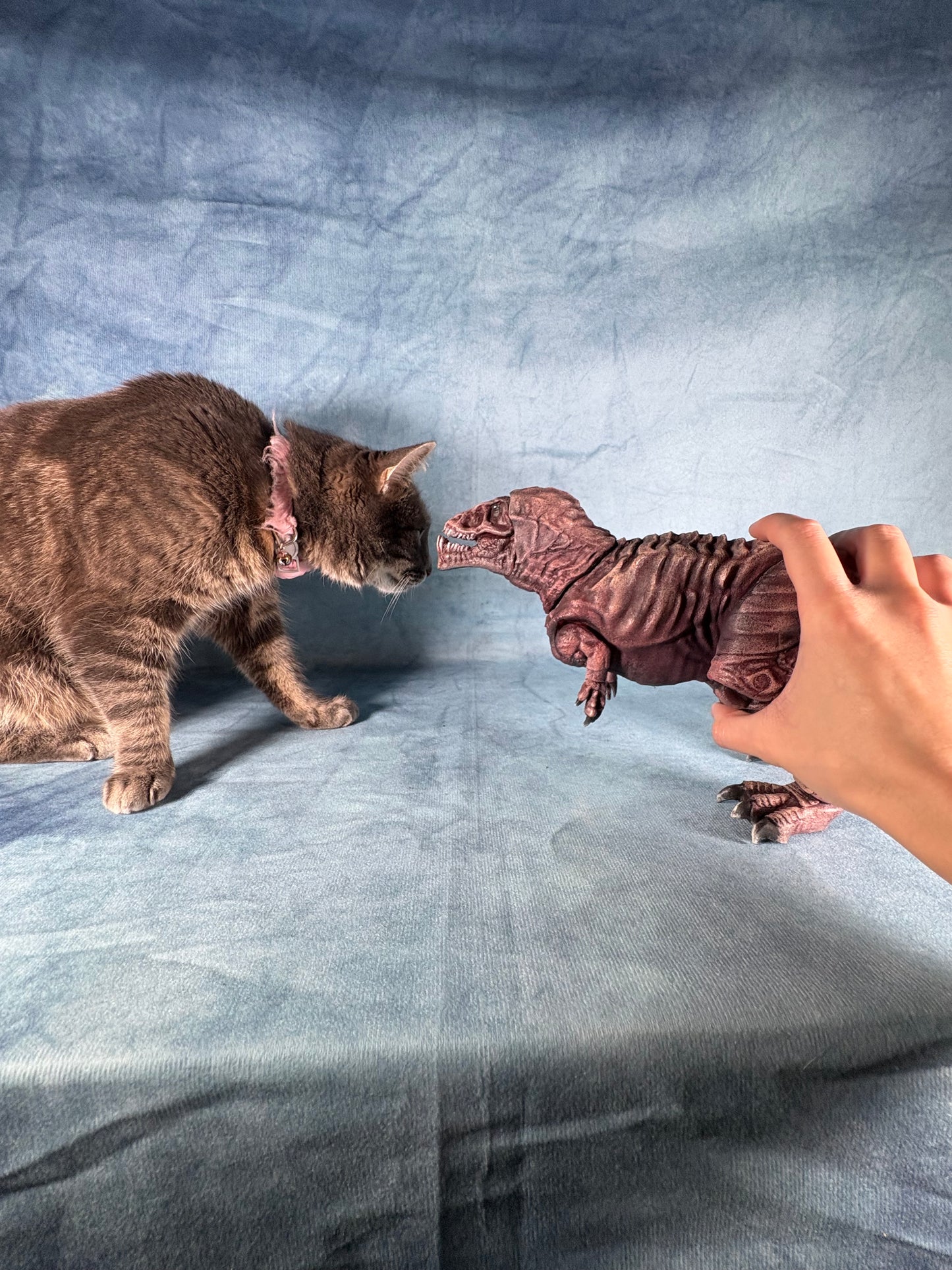 Aulita Heroes Carcharodontosaurus
